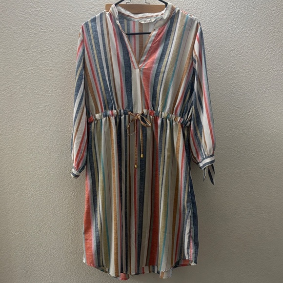 Blush Dresses & Skirts - Blush Multicolor Striped Dress